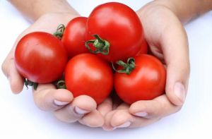 PHOTOS Wednesday Weight blog series - A healthy life - tomatoes.jpg
